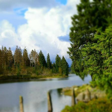 Chalet Platzhirsch Braunlage Luaran gambar